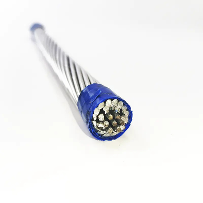16 mm 25 mm 40 mm 63 mm 100 mm 125 mm Conducteur à grande échelle AACSR Alloy d'aluminium Conducteur en acier renforcé