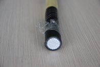 Gaine en aluminium souterraine de PVC de Xlpe Insulated Cables de conducteur