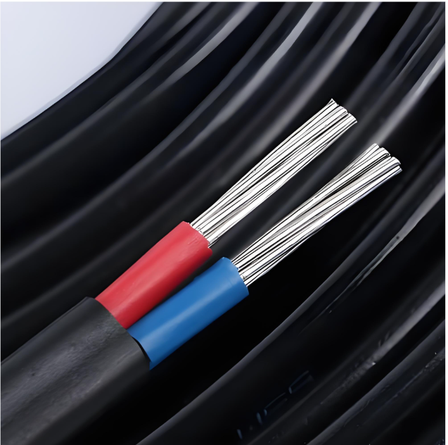 Cable à basse tension isolé en cuivre XLPE à deux noyaux IP67 de 0,6/1 kV pour utilisation aérienne et souterraine